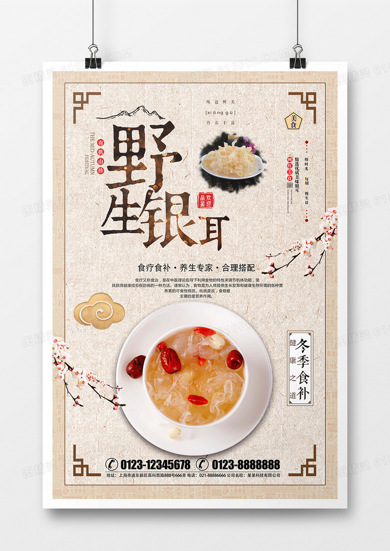 2019简约特色中国风银耳食品海报